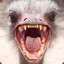 PaRUS_63