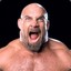 GOLDBERG™