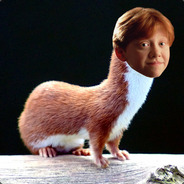 Ron Weasel