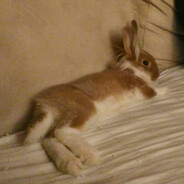 ★.𝑘4𝑚!𝑙𝑘4.★