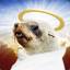 Seal God