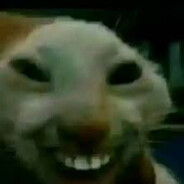 °J3l!Tk0°