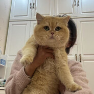 我卢本伟没有开挂