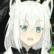 Rei Wolf