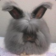 Blade - steam id 76561197978748525