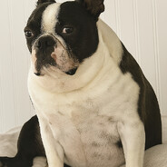 Buster