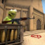 Camping Kermit