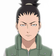☪ Shika’s