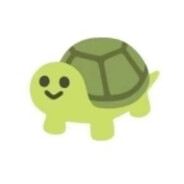 lilturtle