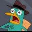 Perry El OrtitoRico