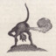 Momoshira