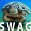 swagturtle