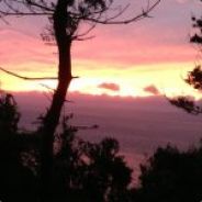 千年回蓦萦绕那凡尘世