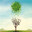 wind of change awaiter