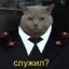 КОТ В МУНДИРЕ