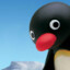 Pingu