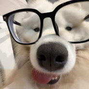 别骂了我也想变得和你一样强