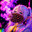 ghotyc (on music)