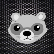 UnarmedRaccoon