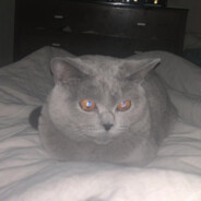 狼牙特战旅何晨光