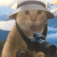 怯战的变色青蛙