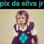 Vido