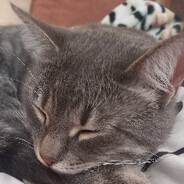 fons1ly - steam id 76561199237978387