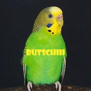 butschiii avatar