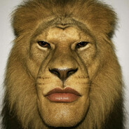 african ceiling bird