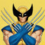 WOLVERINE™