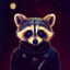 SpaceRaccoon