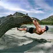 高级特工穿山乙