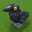BurdBuddy