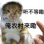 走地鸡