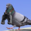 spy pigeon