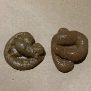 Tau Thích ăn cứt