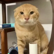 Thompson loves reading