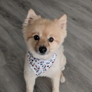 ToastyPanini - steam id 76561197960573746