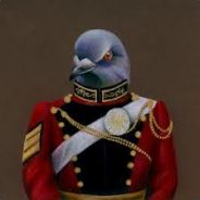 majorpigeon