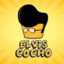 ELVIS_COCHUELO