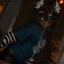 Foxy_belgian