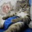 猫桑