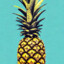 ANANAS1K