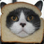 Toast cat