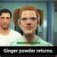 Ginger Powder