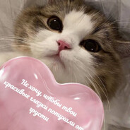 iPASH_URUKAMi - steam id 76561198255863412