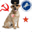 Communistdogey