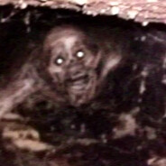 the walls are crawling