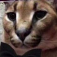 الأعمال القط الأعمال القط