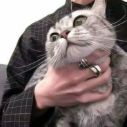 小荷才露尖尖角